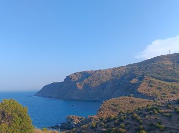 Randonnée Marche Banyuls-sur-Mer - cap del troc . coll de gran bau . cap réderis . retour par le chemin du littoral  - Photo