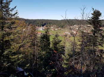 Tocht Stappen Grande-Rivière-Château - Prenovel:tour - Photo