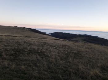 Tocht Stappen Saint-Maurice-sur-Moselle - tour ballon d'Alsace - Photo