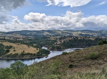 Trail Walking Cordelle - boucle rilly-9.7 km - Photo