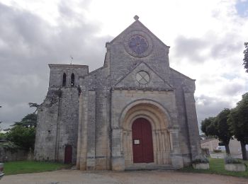 Trail On foot Villeneuve - Balade de l'Estuaire - Photo