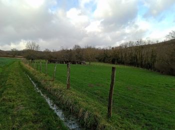 Randonnée Marche Essômes-sur-Marne - Essomes sur Marne du 12/02/2024 - Photo