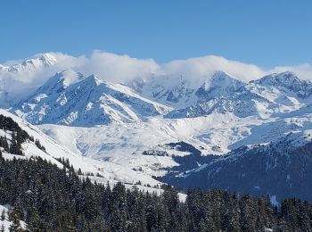 Randonnée Marche Villard-sur-Doron - les saisies patafan 483m15.6kms - Photo