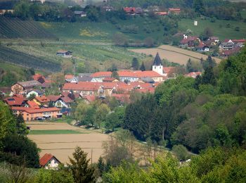 Tocht Te voet Gamlitz - Gamlitz-Gaberhöhe-Steinbach - Photo