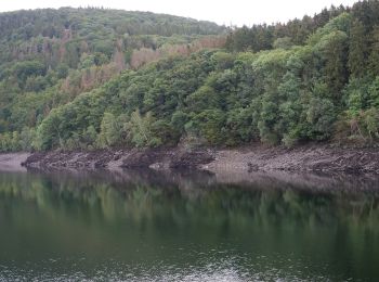 Tour Zu Fuß Heimbach - Wanderweg T2 ( Heimbach) - Photo