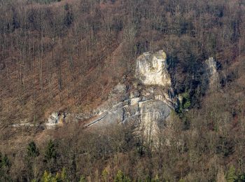 Trail On foot Wiesenttal - Rund um den Schwingbogen - Photo