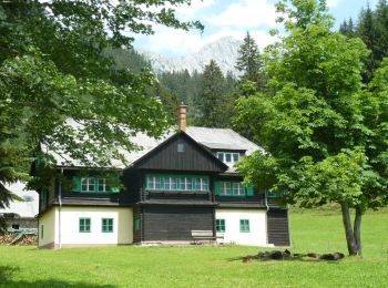 Tocht Te voet Tragöß-Sankt Katharein - Wanderweg Thalerkogel - Photo