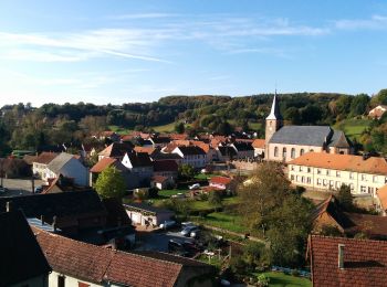 Randonnée A pied Walschbronn - Anneau bleu - Photo