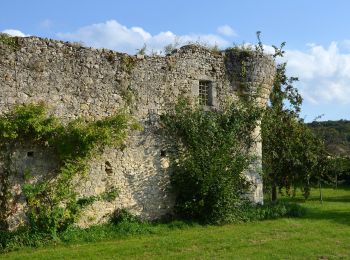 Trail On foot Villemer - Maquis de Roys - Photo