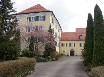 Excursión A pie Fünfstetten - Rundwanderweg Monheim 15 - Photo