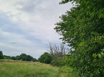 Percorso Mountainbike Mesnil-Saint-Laurent - parcours mesnil thenelles- beautor- Mennessis  - Photo