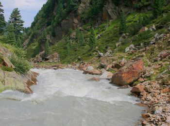 Randonnée A pied Gemeinde Neustift im Stubaital - Wilde Wasser Weg - Photo