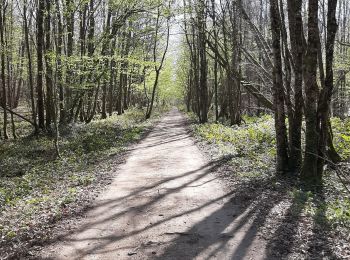 Tocht Paardrijden Saint-Sébastien - ancienne voie ferrée  - Photo