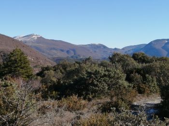 Excursión Senderismo Saint-Léger-du-Ventoux - st léger savoillan  - Photo