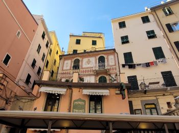 Percorso A piedi Riomaggiore - sejour-5-terres-jour5-visite-libre-de-riomaggiore - Photo