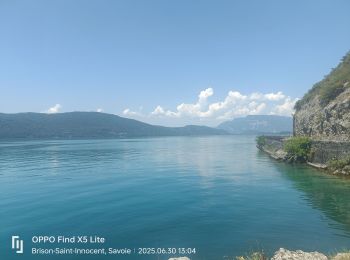 Tocht Elektrische fiets Aix-les-Bains - Tour du lac Bourget  - Photo