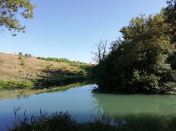 Randonnée Marche Montélimar - Gournier-Châteauneuf 10km - Photo