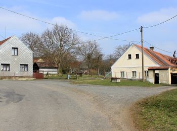 Tour Zu Fuß Mířkov - Naučná stezka Sedmihoří - Photo