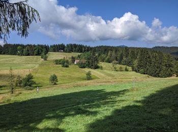 Tocht Te voet okres Čadca - [Ž] Smutníky - Morávka - Photo