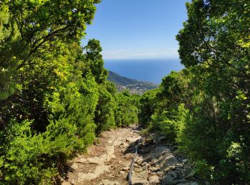 Tocht Stappen Bastia - tracė - Photo