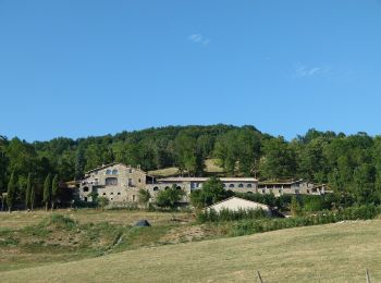 Tour Zu Fuß la Vall de Bianya - Via Romana del Capsacosta des del Pas dels Traginets - Photo