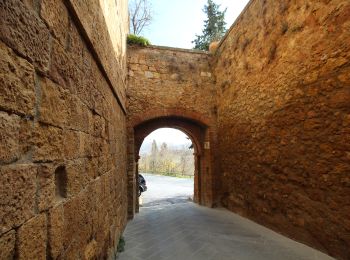 Randonnée A pied Pienza - Cacciaconti - Photo