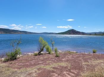 Excursión Senderismo Le Puech - Les Vailhes-Celles - Photo