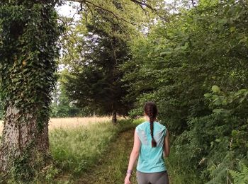 Tour Wandern Fougerolles-Saint-Valbert - -07-24  marche fête des cerises - Photo