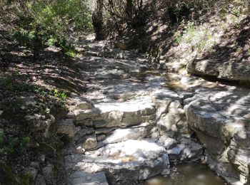 Tocht Stappen Lafare - le tour des dentelles Sarazines - Photo