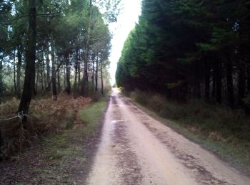 Excursión Senderismo Molières - Molières 18km - Photo