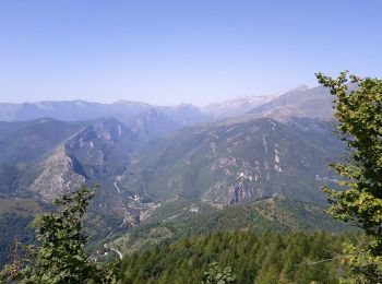 Trail On foot Ormea - Passo di Prale - Colle San Bartolomeo - Photo