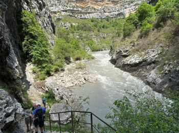 Percorso Marcia Rougon - Point sublime Verdon Blanc Martel 12 km - Photo