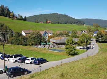 Trail Walking Baiersbronn - Baiersbronn - lac et cascade de Sankenbach - Photo