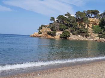 Trail Walking Begur - Sa Riera Cami de Ronda vers le Sud - Photo