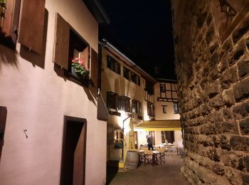 Tocht Stappen Eguisheim - eguishem- vignoble et château  - Photo