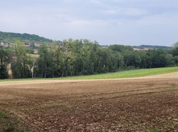 Randonnée Marche Saulny - lorry forèt - Photo