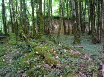 Randonnée Marche nordique Les Eyzies - Marche 21,5km - Photo