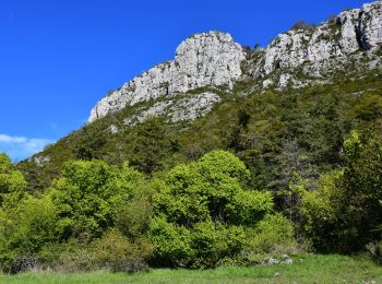 Tocht Stappen Andon - Andon - Pk Pont du Loup - Le Castellaras - Château des 4 Tours - Photo