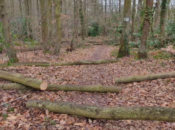 Tocht Stappen Meudon - De Meudon val fleury à Viroflay RD via forêts de Meudon et fausses reposes - Photo