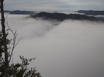 Trail Walking Sonthonnax-la-Montagne - Point de vue vallée de l'Ain - Photo