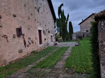 Trail Walking Vouthon-Haut - errance dans bois de Vaudeville le - Photo