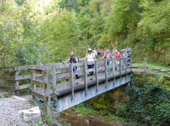 Randonnée Marche Bozouls - Bozoul (Après-midi) - Photo