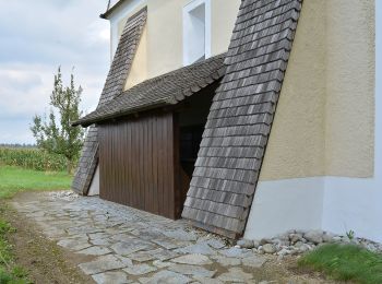 Tocht Te voet Niederneukirchen - Wanderweg 4 Steggraben-Ruprechtshofen - Photo