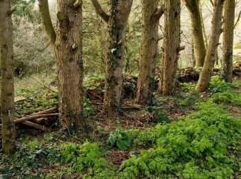 Tour Wandern La Bruffière - terrain fred - Photo