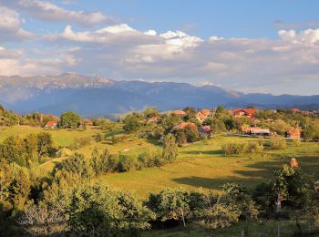 Percorso A piedi  - Tohănița-Măgura-Fântâna lui Botorog - Photo