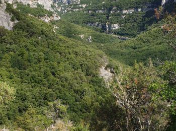 Excursión Senderismo Labastide-de-Virac - Les sentiers de L'Ardèche  - Photo