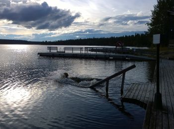 Percorso A piedi Muonio - Jeriksen lähireitit 2 - Photo