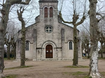 Tour Wandern Menars - menais bord de Loire  - Photo