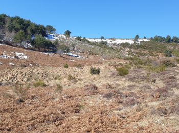 Excursión Senderismo Mosset - Mosset - Photo