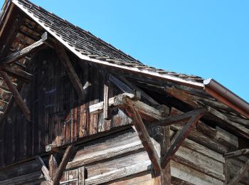 Tour Zu Fuß Dielsdorf - Dielsdorf - Nöschikon - Photo